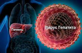 Профилактика вирусного гепатита С.